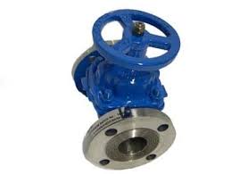 Valve Linings